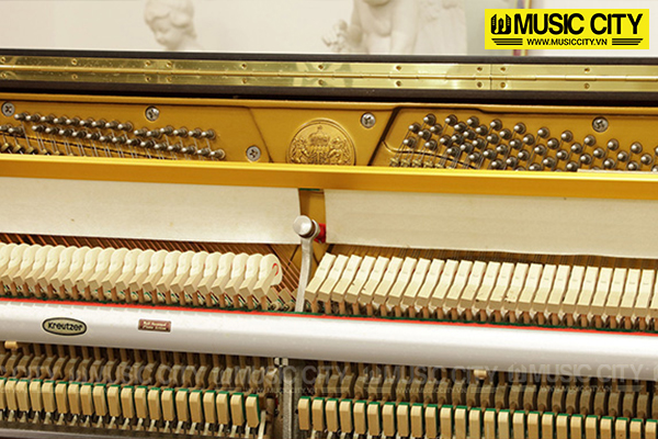 Music City – Tổng Kho Piano, Guitar, Organ | Dịch Vụ Giáo Dục Âm Nhạc