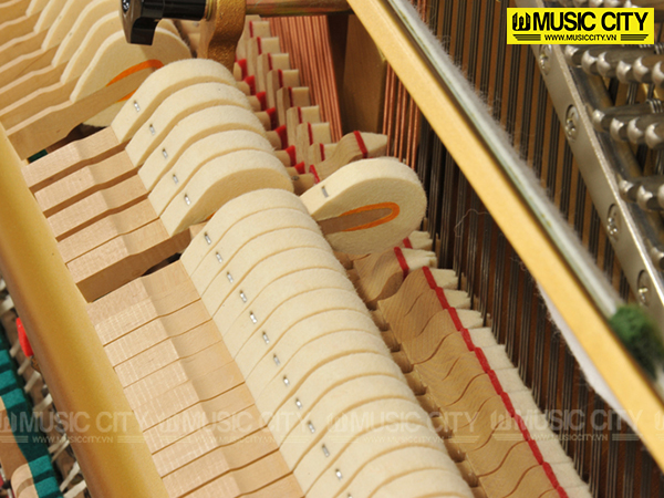 Music City – Tổng Kho Piano, Guitar, Organ | Dịch Vụ Giáo Dục Âm Nhạc