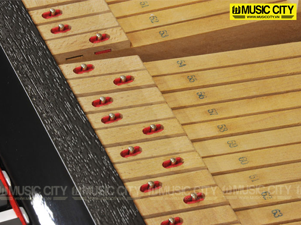 Music City – Tổng Kho Piano, Guitar, Organ | Dịch Vụ Giáo Dục Âm Nhạc