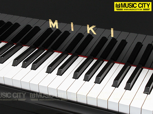 Music City – Tổng Kho Piano, Guitar, Organ | Dịch Vụ Giáo Dục Âm Nhạc