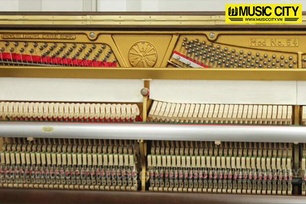 Music City – Tổng Kho Piano, Guitar, Organ | Dịch Vụ Giáo Dục Âm Nhạc