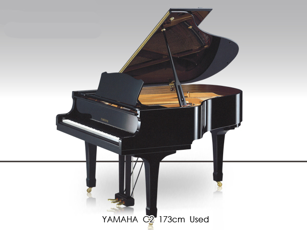 Music City – Tổng Kho Piano, Guitar, Organ | Dịch Vụ Giáo Dục Âm Nhạc