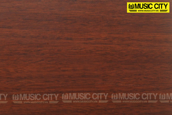 Music City – Tổng Kho Piano, Guitar, Organ | Dịch Vụ Giáo Dục Âm Nhạc