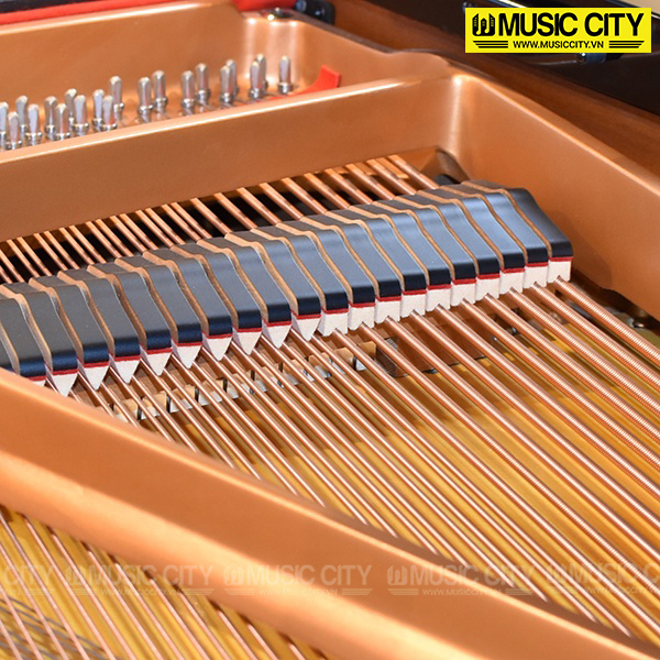 Music City – Tổng Kho Piano, Guitar, Organ | Dịch Vụ Giáo Dục Âm Nhạc