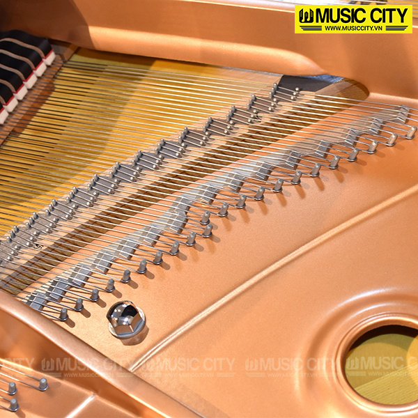 Music City – Tổng Kho Piano, Guitar, Organ | Dịch Vụ Giáo Dục Âm Nhạc