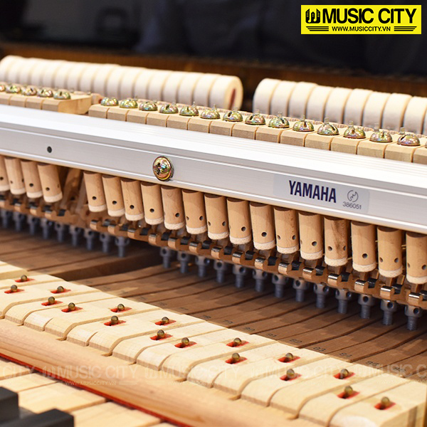 Music City – Tổng Kho Piano, Guitar, Organ | Dịch Vụ Giáo Dục Âm Nhạc