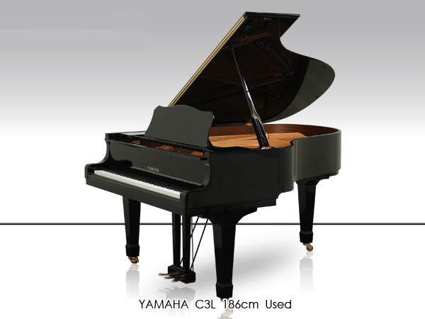 Music City – Tổng Kho Piano, Guitar, Organ | Dịch Vụ Giáo Dục Âm Nhạc
