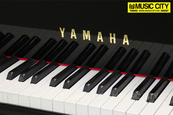 Hình ảnh Đàn Grand yamaha C3L tại Music City