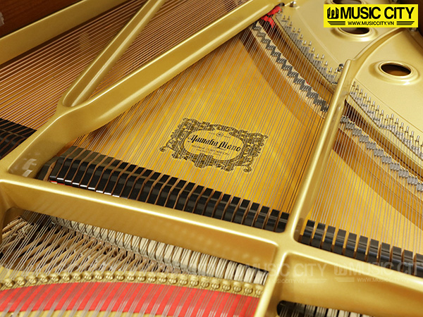 Music City – Tổng Kho Piano, Guitar, Organ | Dịch Vụ Giáo Dục Âm Nhạc