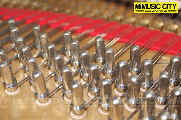 Music City – Tổng Kho Piano, Guitar, Organ | Dịch Vụ Giáo Dục Âm Nhạc