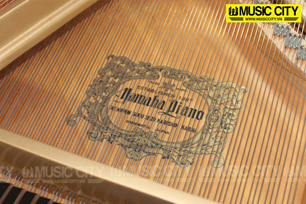 Hình ảnh Đàn Grand Yamaha G3E Wh tại Music City Hình ảnh Đàn Grand Yamaha G3E Wh tại Music City