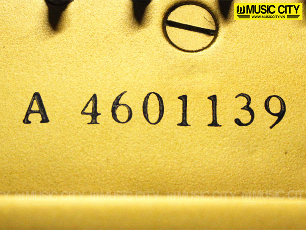 Hình ảnh Đàn Grand Yamaha G5A tại Music City