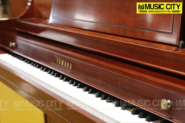 Music City – Tổng Kho Piano, Guitar, Organ | Dịch Vụ Giáo Dục Âm Nhạc
