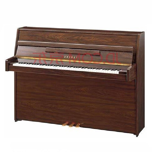 Music City – Tổng Kho Piano, Guitar, Organ | Dịch Vụ Giáo Dục Âm Nhạc