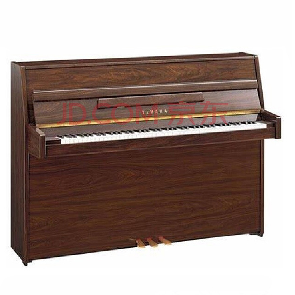 Music City – Tổng Kho Piano, Guitar, Organ | Dịch Vụ Giáo Dục Âm Nhạc