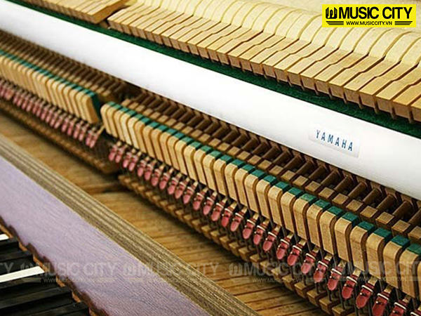 Music City – Tổng Kho Piano, Guitar, Organ | Dịch Vụ Giáo Dục Âm Nhạc