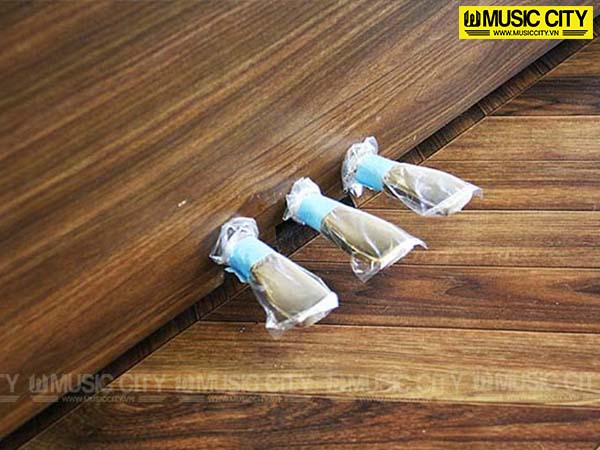 Music City – Tổng Kho Piano, Guitar, Organ | Dịch Vụ Giáo Dục Âm Nhạc