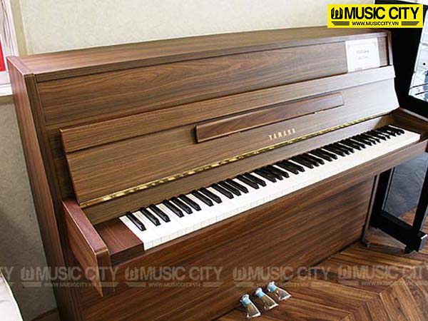 Music City – Tổng Kho Piano, Guitar, Organ | Dịch Vụ Giáo Dục Âm Nhạc