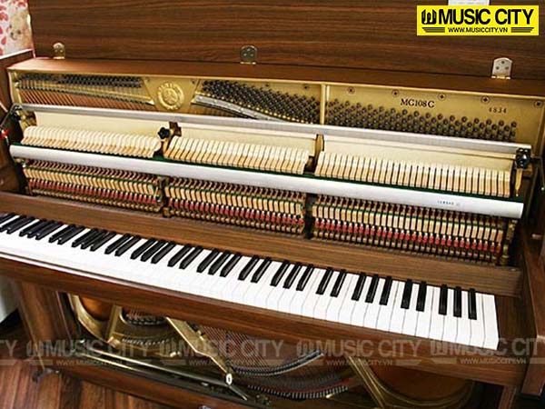 Music City – Tổng Kho Piano, Guitar, Organ | Dịch Vụ Giáo Dục Âm Nhạc