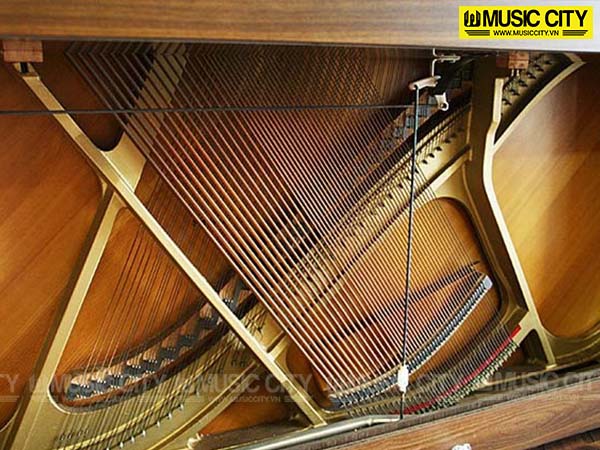 Music City – Tổng Kho Piano, Guitar, Organ | Dịch Vụ Giáo Dục Âm Nhạc