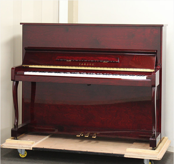 Music City – Tổng Kho Piano, Guitar, Organ | Dịch Vụ Giáo Dục Âm Nhạc