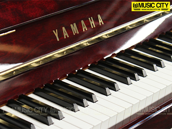 Music City – Tổng Kho Piano, Guitar, Organ | Dịch Vụ Giáo Dục Âm Nhạc
