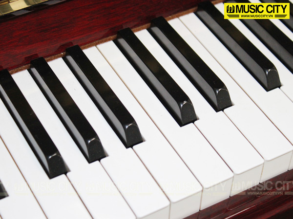 Music City – Tổng Kho Piano, Guitar, Organ | Dịch Vụ Giáo Dục Âm Nhạc