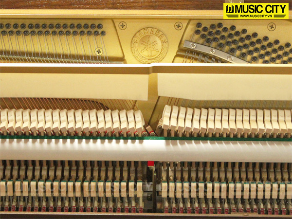 Music City – Tổng Kho Piano, Guitar, Organ | Dịch Vụ Giáo Dục Âm Nhạc