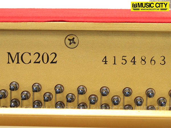 Music City – Tổng Kho Piano, Guitar, Organ | Dịch Vụ Giáo Dục Âm Nhạc