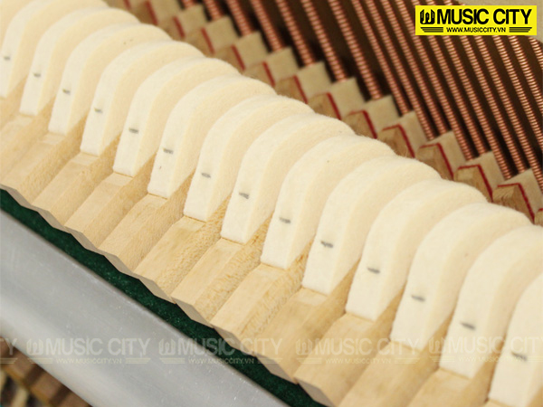 Music City – Tổng Kho Piano, Guitar, Organ | Dịch Vụ Giáo Dục Âm Nhạc