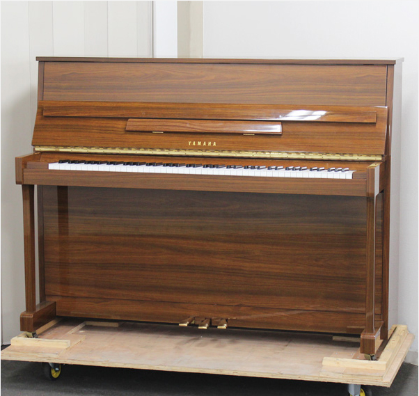 Music City – Tổng Kho Piano, Guitar, Organ | Dịch Vụ Giáo Dục Âm Nhạc
