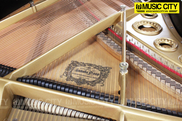 Music City – Tổng Kho Piano, Guitar, Organ | Dịch Vụ Giáo Dục Âm Nhạc