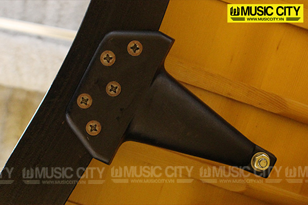 Music City – Tổng Kho Piano, Guitar, Organ | Dịch Vụ Giáo Dục Âm Nhạc