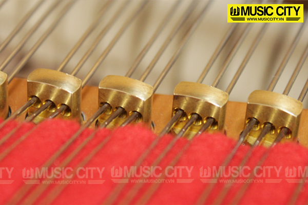 Music City – Tổng Kho Piano, Guitar, Organ | Dịch Vụ Giáo Dục Âm Nhạc