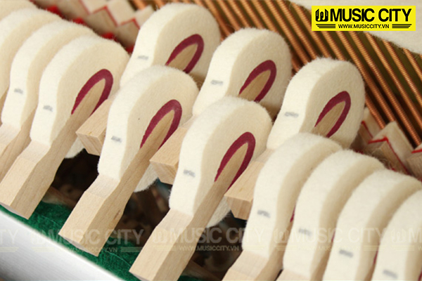 Music City – Tổng Kho Piano, Guitar, Organ | Dịch Vụ Giáo Dục Âm Nhạc