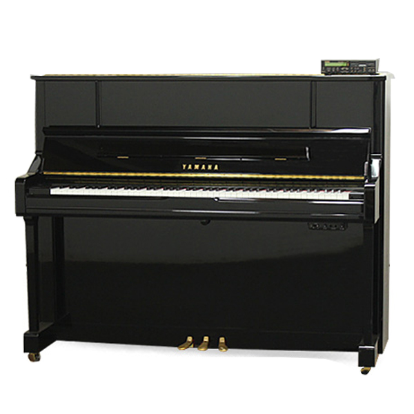 Music City – Tổng Kho Piano, Guitar, Organ | Dịch Vụ Giáo Dục Âm Nhạc