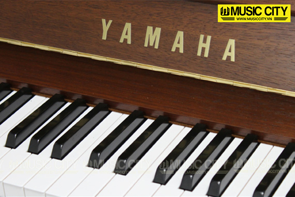 Music City – Tổng Kho Piano, Guitar, Organ | Dịch Vụ Giáo Dục Âm Nhạc