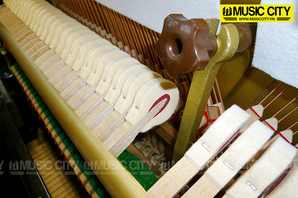 Music City – Tổng Kho Piano, Guitar, Organ | Dịch Vụ Giáo Dục Âm Nhạc
