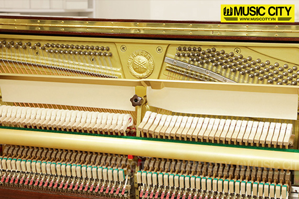 Music City – Tổng Kho Piano, Guitar, Organ | Dịch Vụ Giáo Dục Âm Nhạc