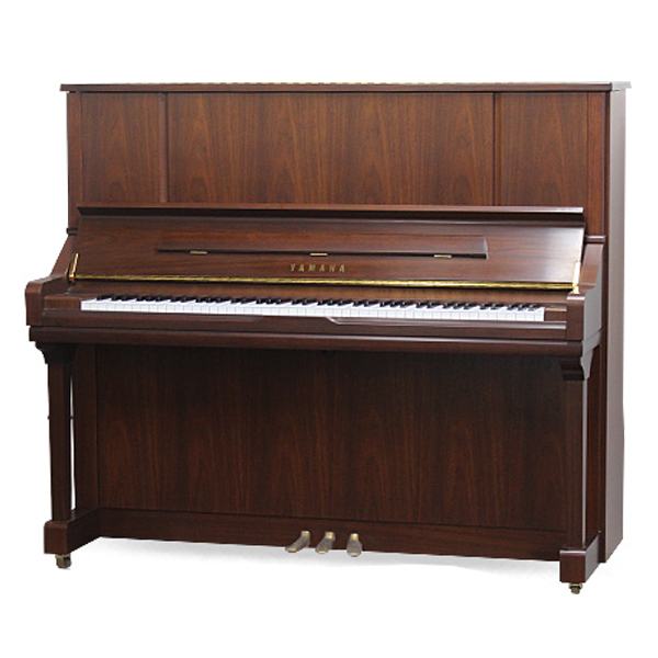 Music City – Tổng Kho Piano, Guitar, Organ | Dịch Vụ Giáo Dục Âm Nhạc