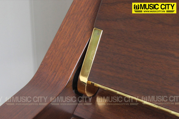 Music City – Tổng Kho Piano, Guitar, Organ | Dịch Vụ Giáo Dục Âm Nhạc