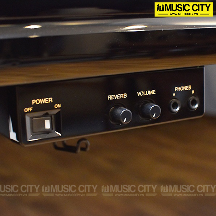 Music City – Tổng Kho Piano, Guitar, Organ | Dịch Vụ Giáo Dục Âm Nhạc