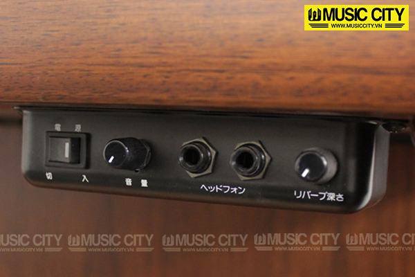 Music City – Tổng Kho Piano, Guitar, Organ | Dịch Vụ Giáo Dục Âm Nhạc