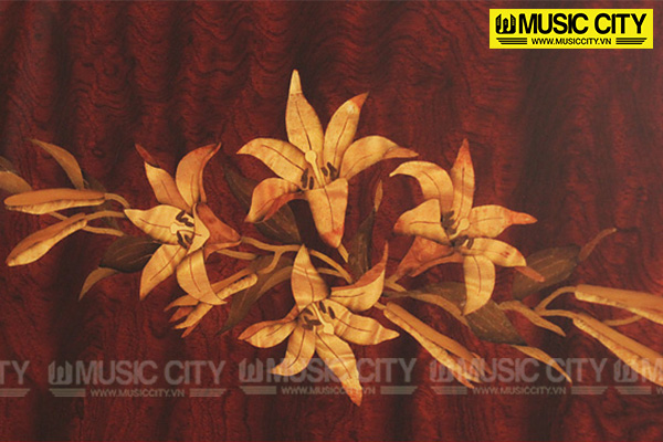 Music City – Tổng Kho Piano, Guitar, Organ | Dịch Vụ Giáo Dục Âm Nhạc