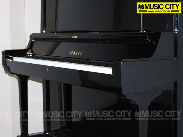 Music City – Tổng Kho Piano, Guitar, Organ | Dịch Vụ Giáo Dục Âm Nhạc