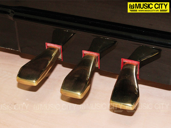 Music City – Tổng Kho Piano, Guitar, Organ | Dịch Vụ Giáo Dục Âm Nhạc