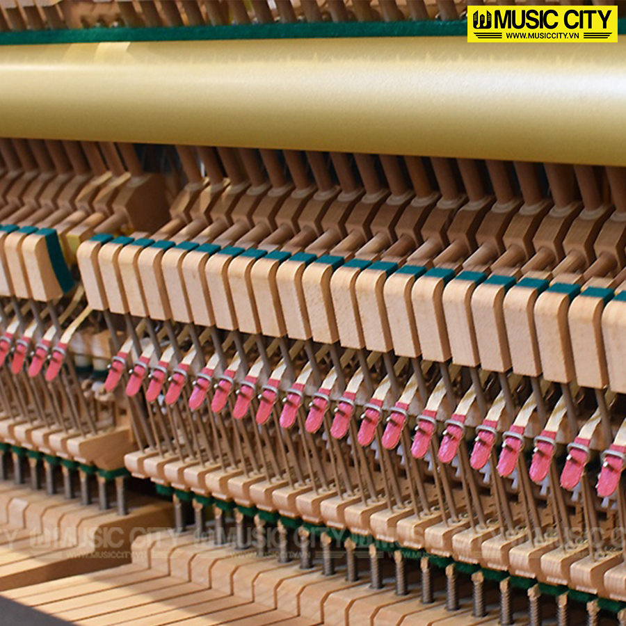 Music City – Tổng Kho Piano, Guitar, Organ | Dịch Vụ Giáo Dục Âm Nhạc
