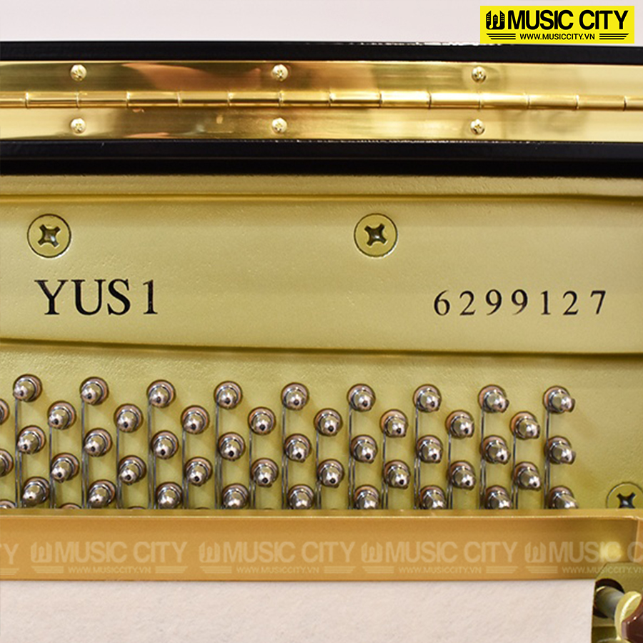 Music City – Tổng Kho Piano, Guitar, Organ | Dịch Vụ Giáo Dục Âm Nhạc
