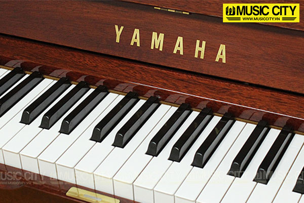 Music City – Tổng Kho Piano, Guitar, Organ | Dịch Vụ Giáo Dục Âm Nhạc