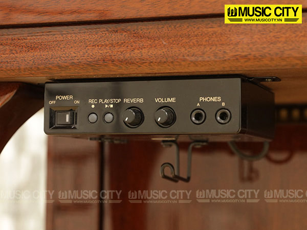 Music City – Tổng Kho Piano, Guitar, Organ | Dịch Vụ Giáo Dục Âm Nhạc
